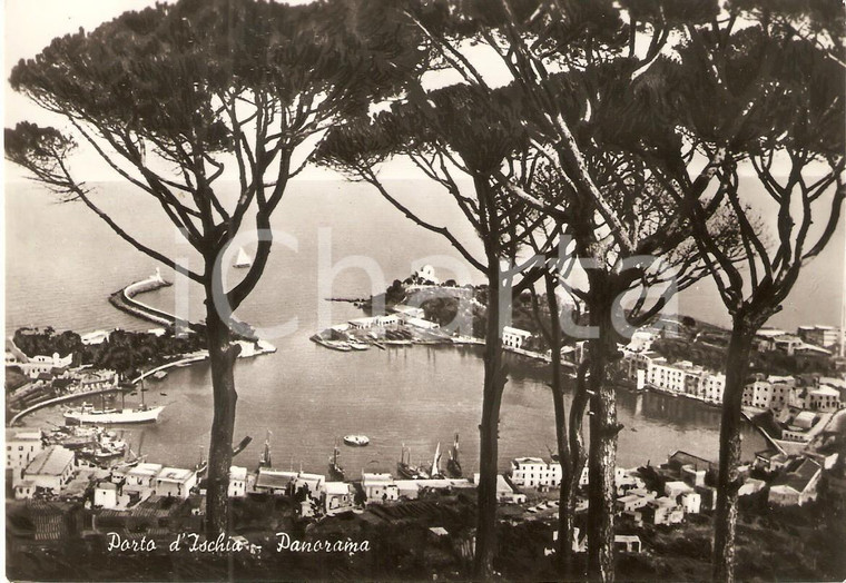 1960 ISCHIA PORTO (NA) Panorama dell'isola della giovinezza*Cartolina FG NV