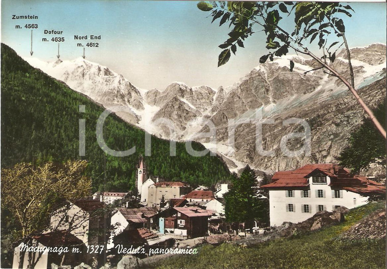 1955 ca MACUGNAGA (VB) Panorama con Punta DUFOUR Punta ZUMSTEIN *Cartolina FG NV