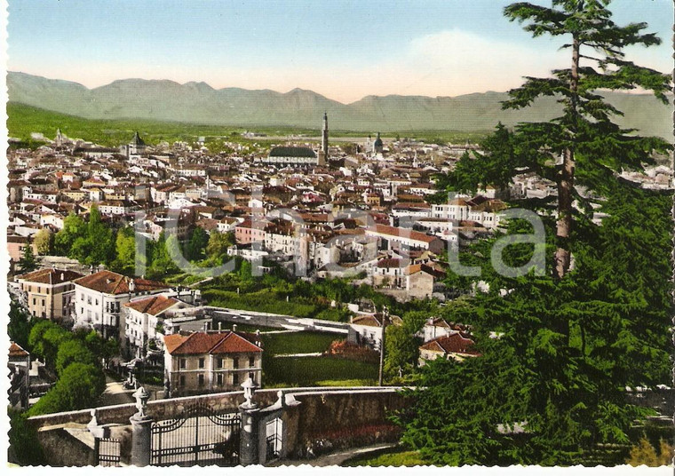 1955 ca VICENZA Panorama della città *Cartolina FG NV