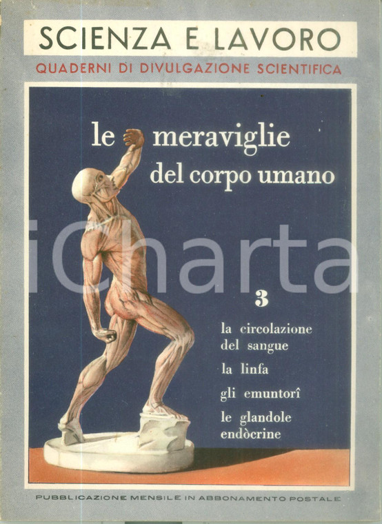 1955 Giovanni PEREZ Meraviglie corpo umano III Circolazione sangue ILLUSTRATO