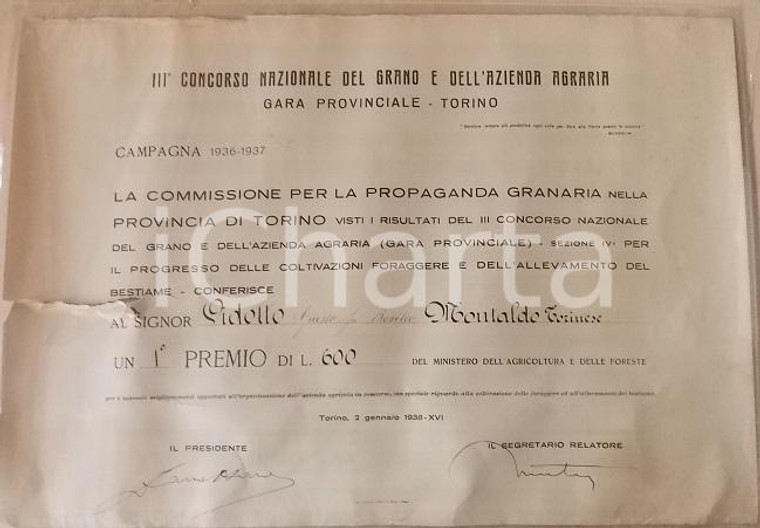 1938 TORINO Concorso nazionale grano Diploma Giusto VIDOTTO *DANNEGGIATO