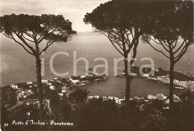 1960 ISCHIA (NA) Panorama del porto *Cartolina FG VG