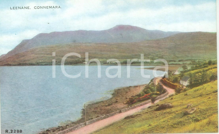 1953 LEENANE (IRLANDA) Spiaggia di CONNEMARA *Cartolina postale FP NV