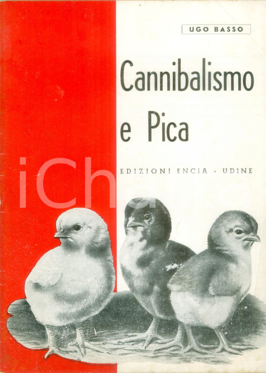 1954 Ugo BASSO Cannibalismo e Pica Seconda edizione brossura ILLUSTRATA