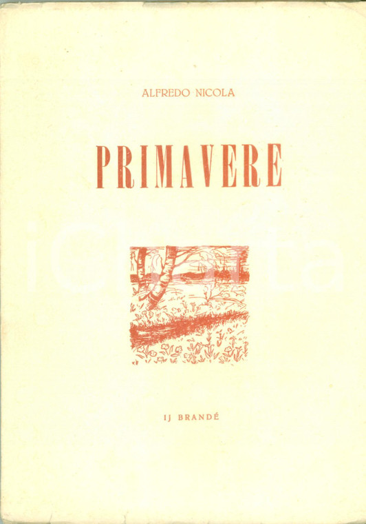 1952 Alfredo NICOLA Primavere Poesie piemonteise 1929-1934 DIALETTO PIEMONTESE