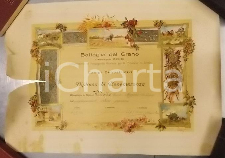 1925 MONTALDO TORINESE Battaglia Grano Diploma Giusto VIDOTTO *DANNEGGIATO