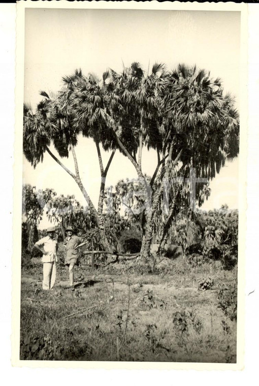 1940 ca AOI ERITREA (?) Coppia di coloni italiani nella vegetazione *Foto 9x13