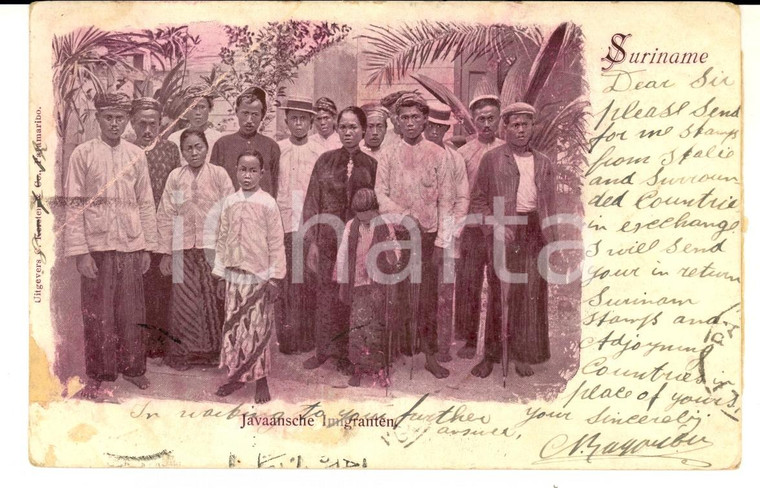 1905 ca SURINAME Immigrati dall'isola di GIAVA *Cartolina postale RARA FP VG