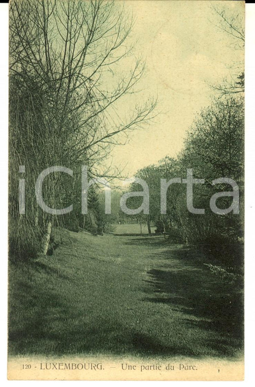 1907 LUXEMBOURG Une partie du Parc  *Carte postale  VINTAGE FP VG