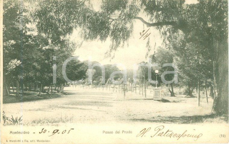 1905 MONTEVIDEO (URUGUAY) Paseo del Prado *Cartolina postale FP VG