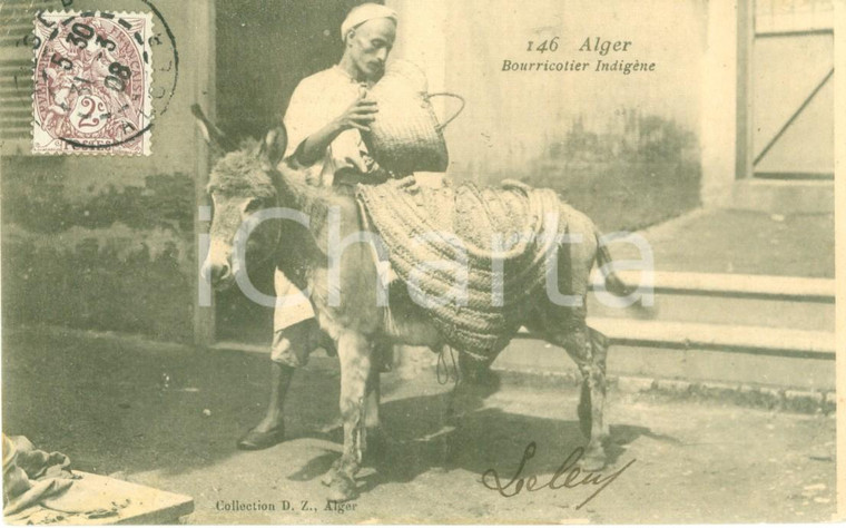 1908 ALGER Asinaio indigeno carica gerle sull'asino *Cartolina ANIMATA FP NV