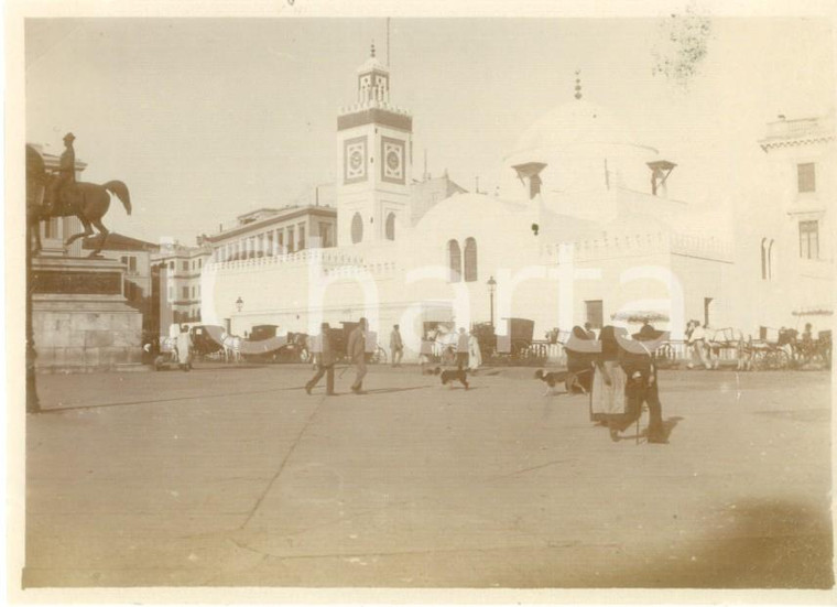 1894 ALGER (ALGERIE) Carrozze al Palace du Gouvernement *Fotografia cm 11 x 8