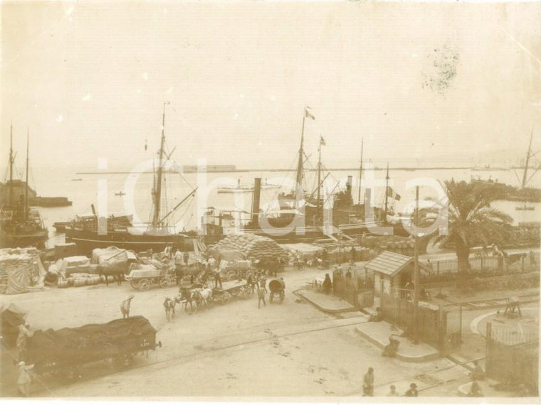 1894 ALGER (ALGERIE) Carri di carico al porto merci *Fotografia cm 11 x 8