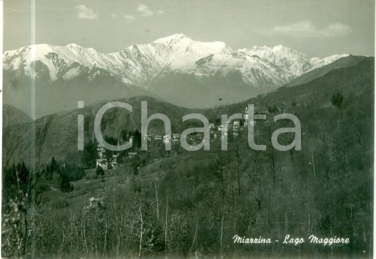1953 MIAZZINA (VB) Panorama del paese *Cartolina postale FG VG