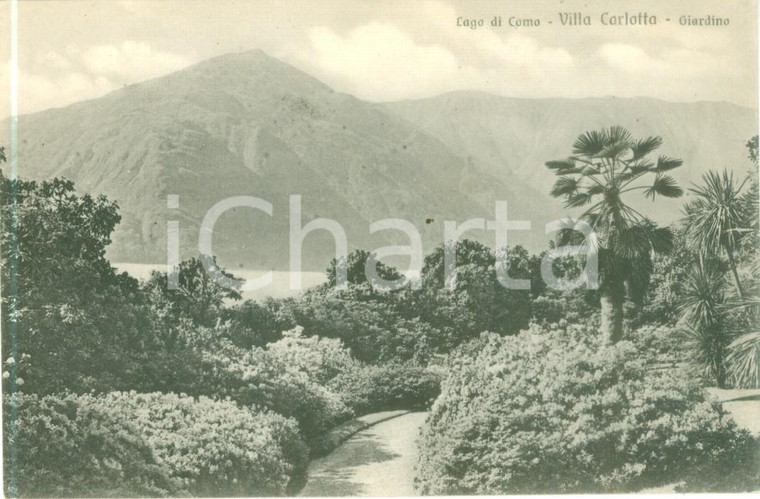 1930 ca TREMEZZO (CO) Panorama da Villa CARLOTTA *Cartolina FP NV