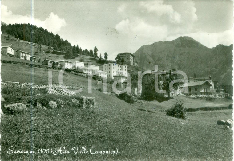 1955 SAVIORE DELL'ADAMELLO (BS) Panorama paese in Valle CAMONICA Cartolina FG VG