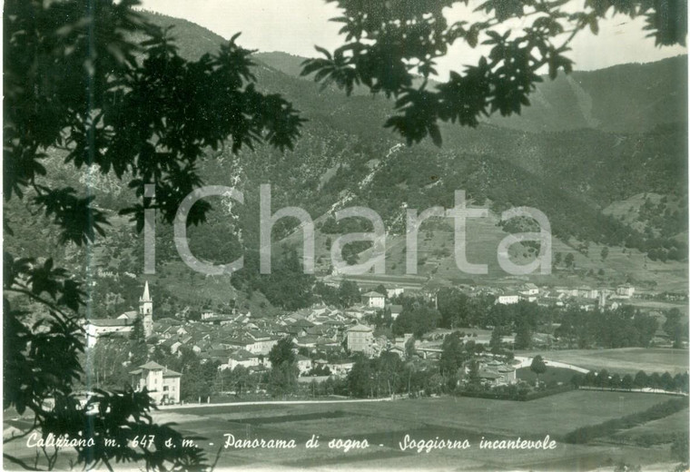 1949 CALIZZANO (SV) Panorama di sogno del paese *Cartolina FG VG