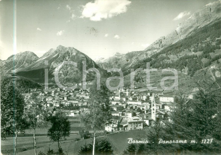 1959 BORMIO (SO) Panorama del paese *Cartolina postale FG VG