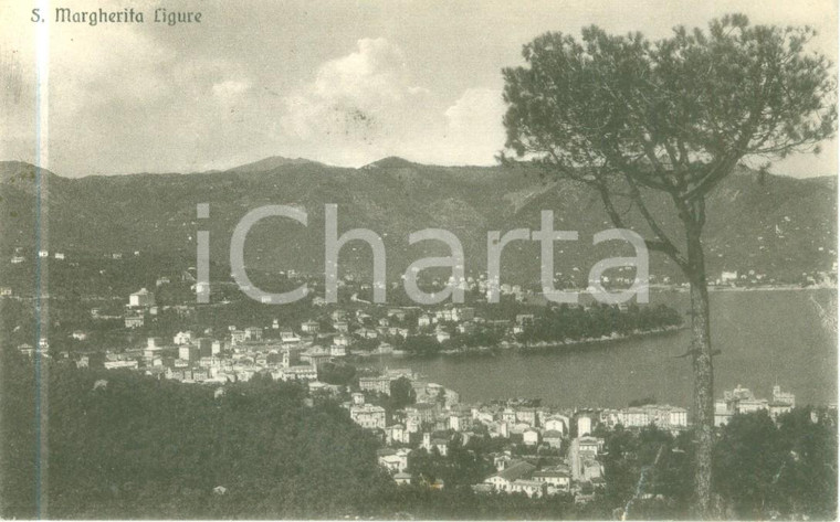 1917 SANTA MARGHERITA LIGURE (GE) Panorama del golfo *Cartolina FP VG