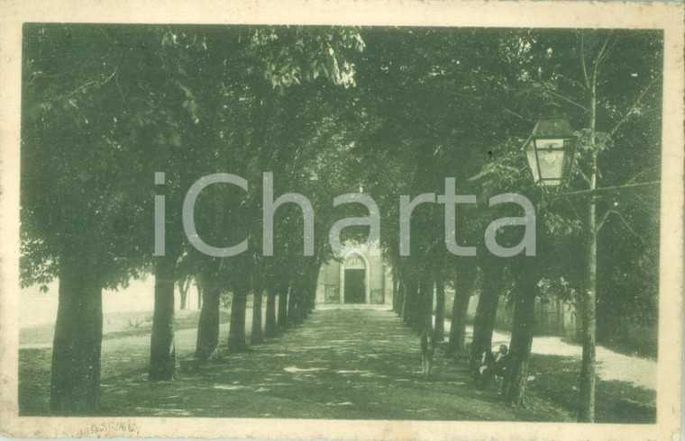 1921 PINEROLO (TO) Il viale di Colle SAN MAURIZIO Cartolina FP VG