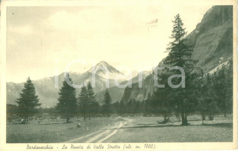 1936 BARDONECCHIA (TO) La Pineta di Valle Stretta *Cartolina FP VG