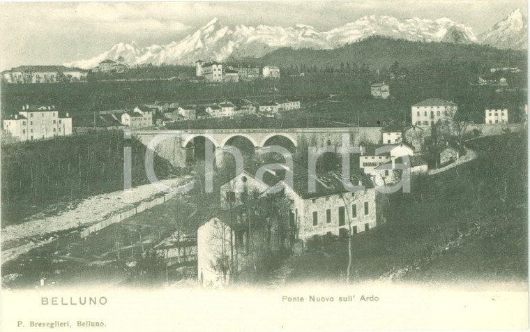 1900 ca BELLUNO Veduta del Ponte Nuovo sull'ARDO *Cartolina FP NV