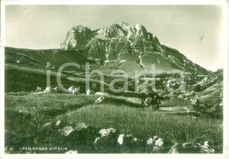 1936 GRAN SASSO D'ITALIA Pastorella con mulo *Cartolina postale FG VG