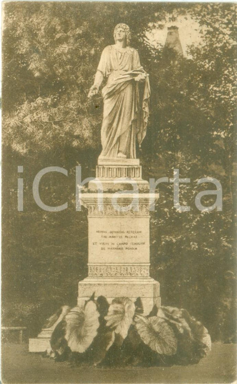 1927 MANTOVA Monumento a VIRGILIO Marchesi CAVRIANI *Cartolina FP VG