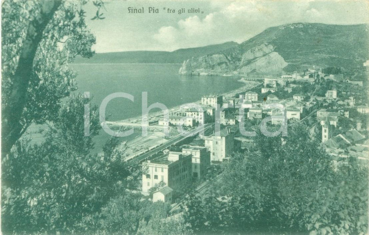 1942 FINALE LIGURE (SV) Panorama di FINALPIA fra gli ulivi *Cartolina FP VG