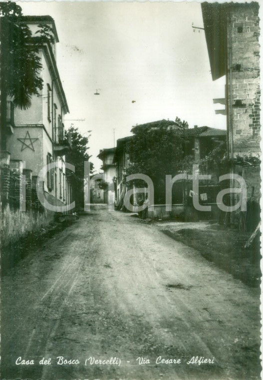 1955 ca SOSTEGNO (BI) Via Cesare ALFIERI a Casa del Bosco*Cartolina FG NV