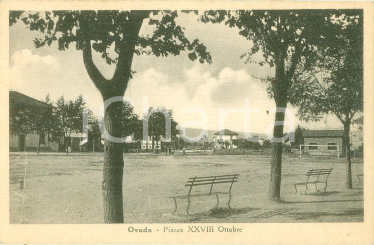 1935 ca OVADA (AL) Panchine in Piazza XXVIII Ottobre *Cartolina FP NV