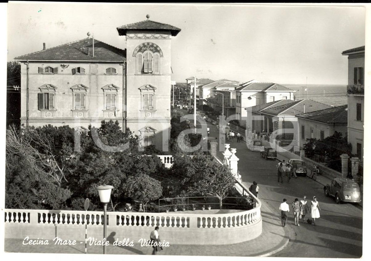 1960 CECINA MARE (LI) Viale della Vittoria *Cartolina ANIMATA VINTAGE FG VG