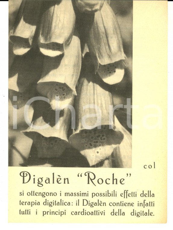 1940 ca FARMACEUTICA ROCHE Preparato DIGALEN cardioattivo *Volantino 