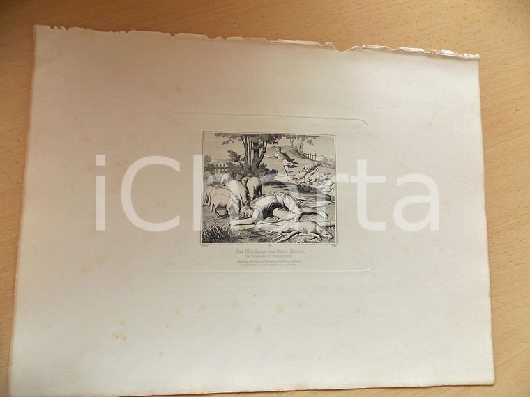 1880 ca ARTE SACRA Parabola del Buon Pastore *Stampa inc. EITEL 37x28 cm