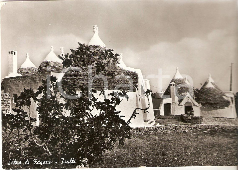 1954 SELVA DI FASANO (BR) Panorama con trulli *Cartolina FG VG