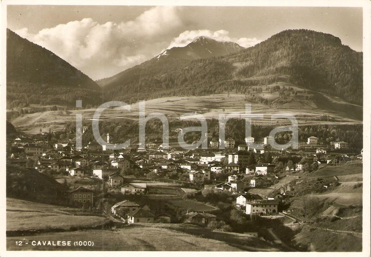 1950 ca CAVALESE (TN) Panorama del paese *Cartolina FG NV
