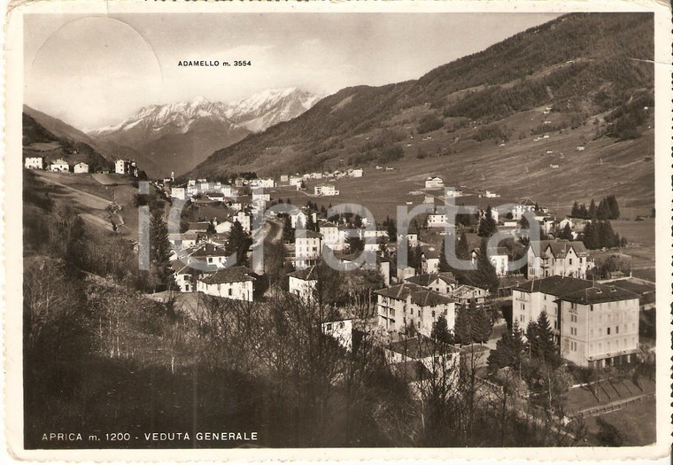 1957 APRICA (SO) Veduta generale con Monte Adamello *Cartolina FG VG
