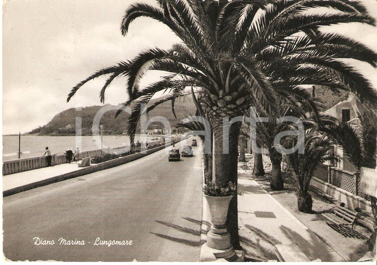 1954 DIANO MARINA (IM) Palme costeggiano il lungomare *Cartolina FG VG