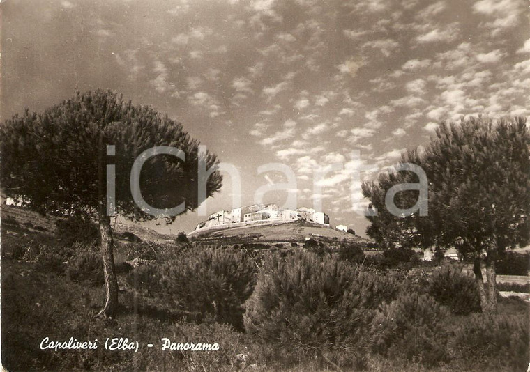 1954 CAPOLIVERI - ISOLA D'ELBA Panorama del paese *Cartolina FG VG