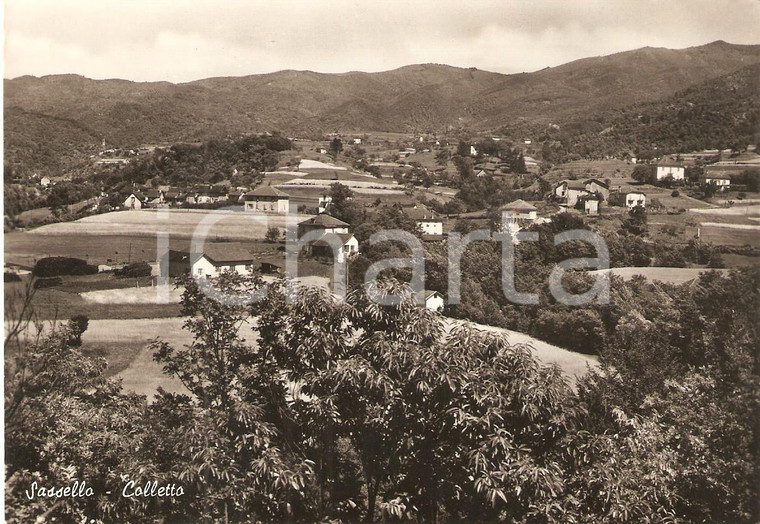 1959 SASSELLO (SV) Panorama località COLLETTO *Cartolina FG VG