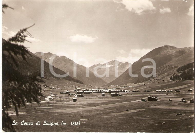 1955 CONCA DI LIVIGNO (SO) Panorama del paese *Cartolina FG VG