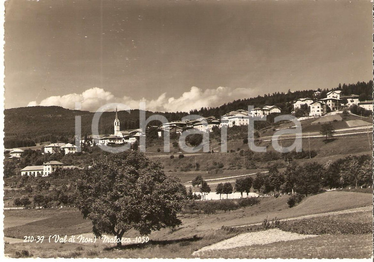 1955 MALOSCO (TN) Panorama del paese - Val di Non *Cartolina FG VG