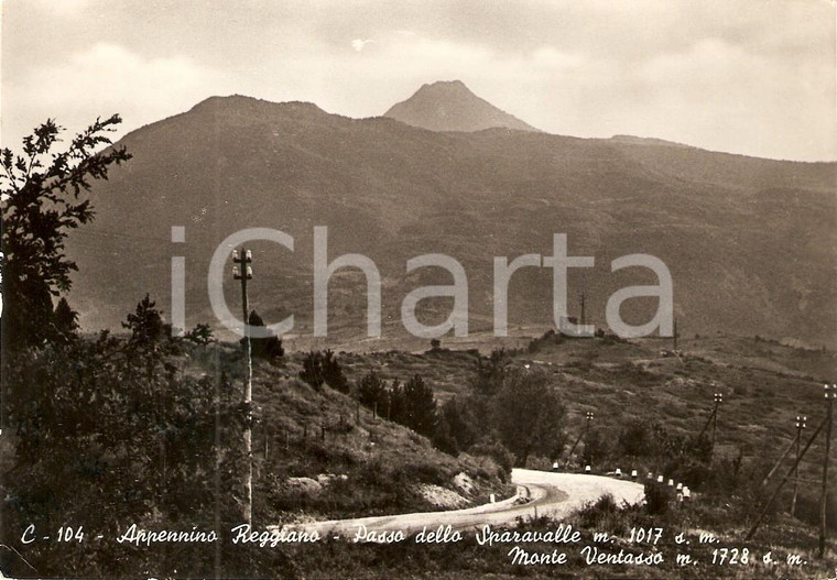 1953 APPENNINO REGGIANO Passo dello SPARAVALLE e Monte VENTASSO *Cartolina FG NV