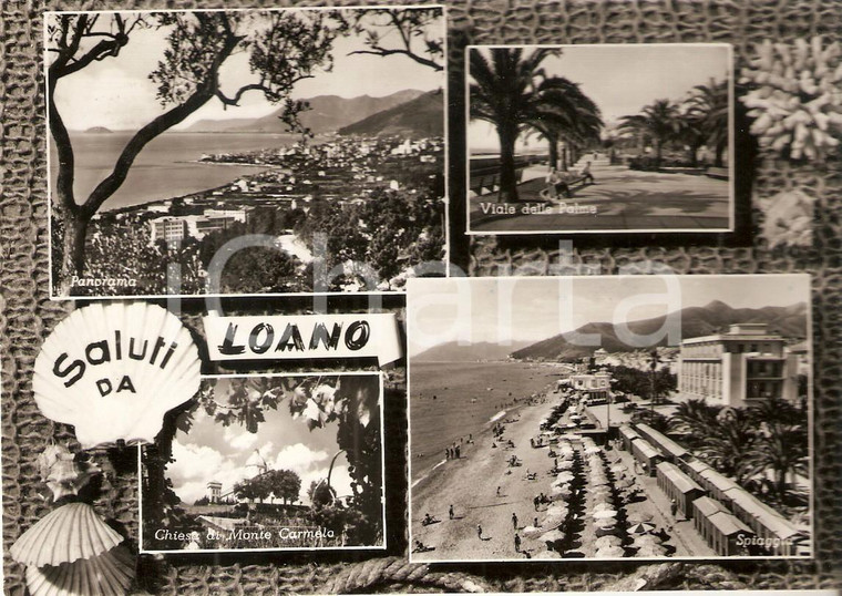1958 LOANO (SV) Vedutine con conchiglie e rete da pesca *Cartolina FG VG