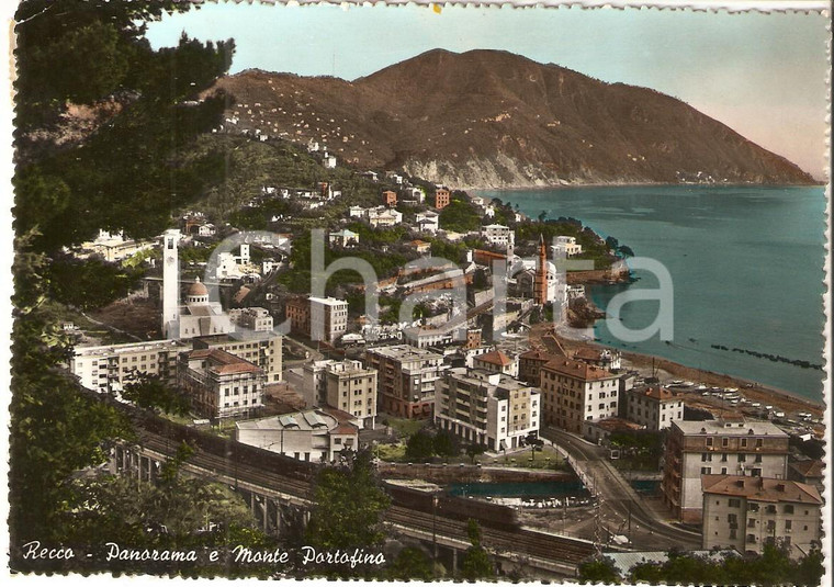 1955 RECCO (GE) Panorama e Monte PORTOFINO *Cartolina FG VG