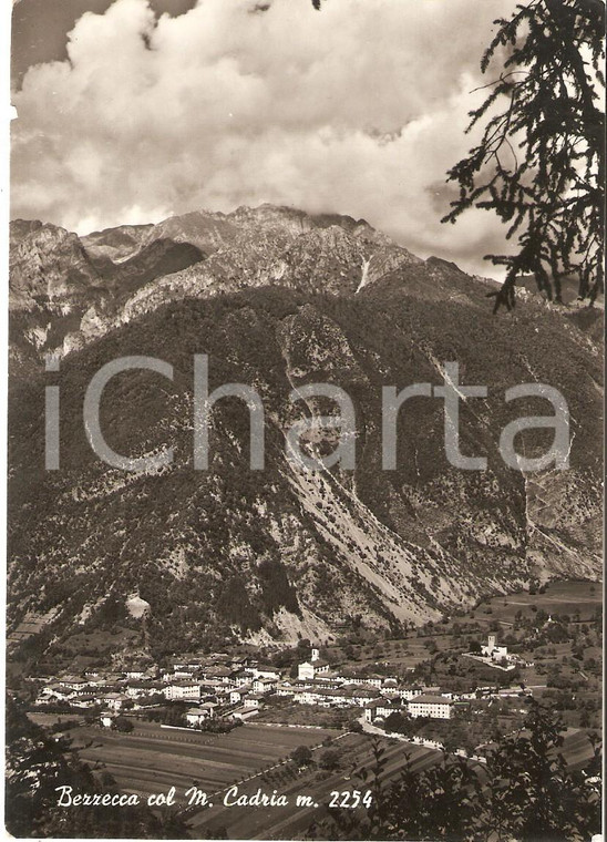 1954 LEDRO (TN) Frazione BEZZECCA con Monte Cadria *Cartolina FG VG
