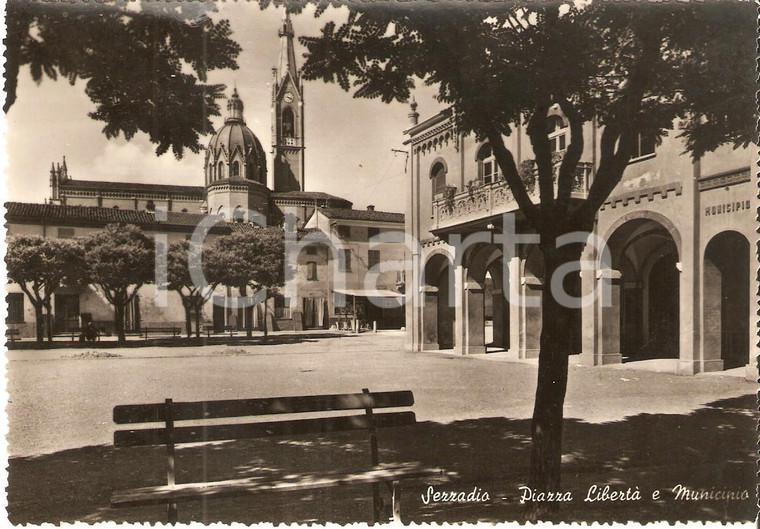 1955 ca SEZZADIO (AL) Piazza Libertà e Municipio *Cartolina FG VG