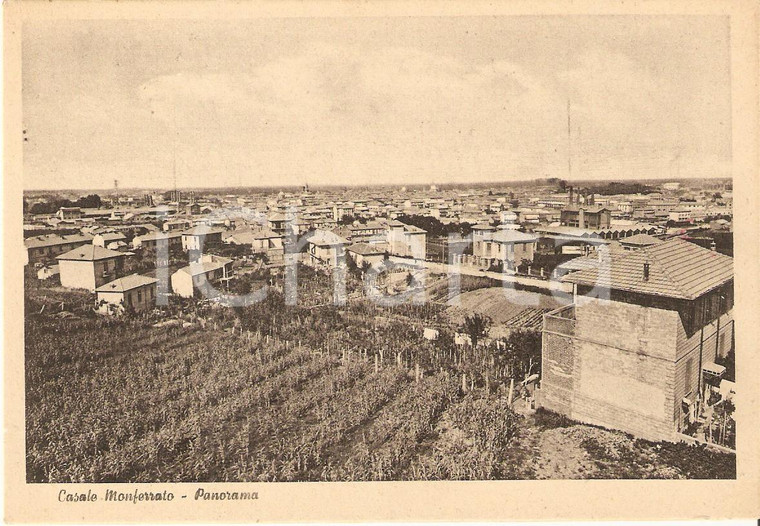 1955 ca CASALE MONFERRATO (AL) Panorama della città *Cartolina FG NV