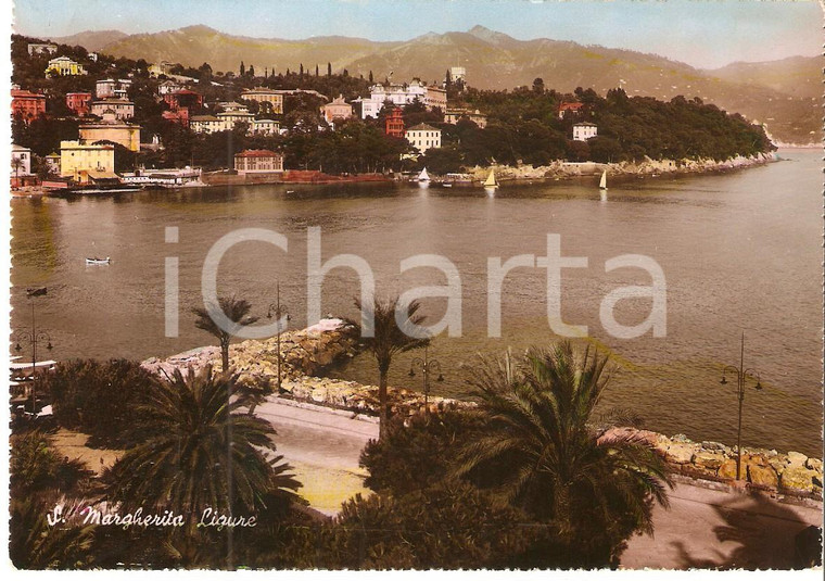 1950 SANTA MARGHERITA LIGURE (GE) Panorama della città *Cartolina FG VG