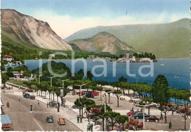 1955 STRESA (VB) Panorama con LAGO MAGGIORE e lungolago *Cartolina FG VG